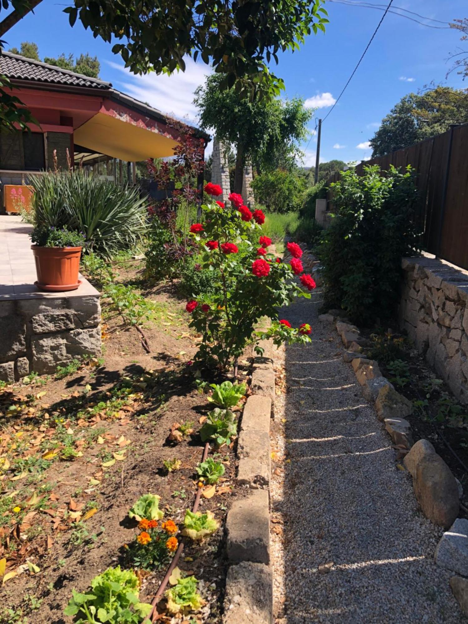 Finca Lagloria Guadarrama Exteriér fotografie